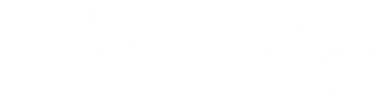 Fortress Engineering Group Logo